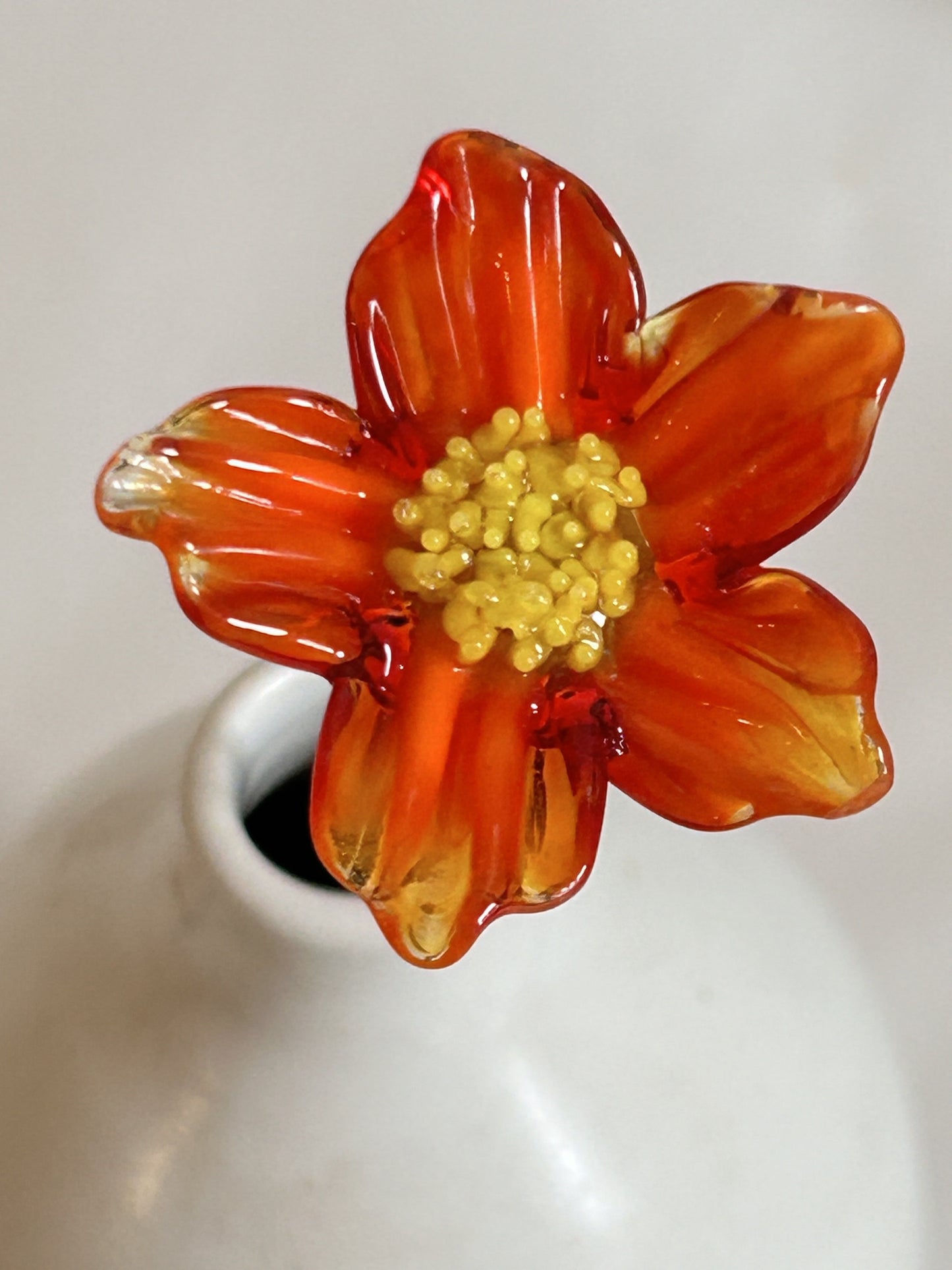 Glass Flowers