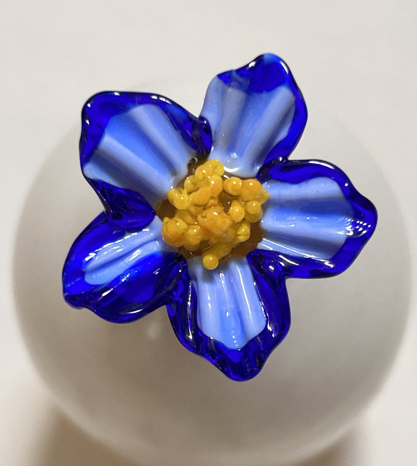 Glass Flowers