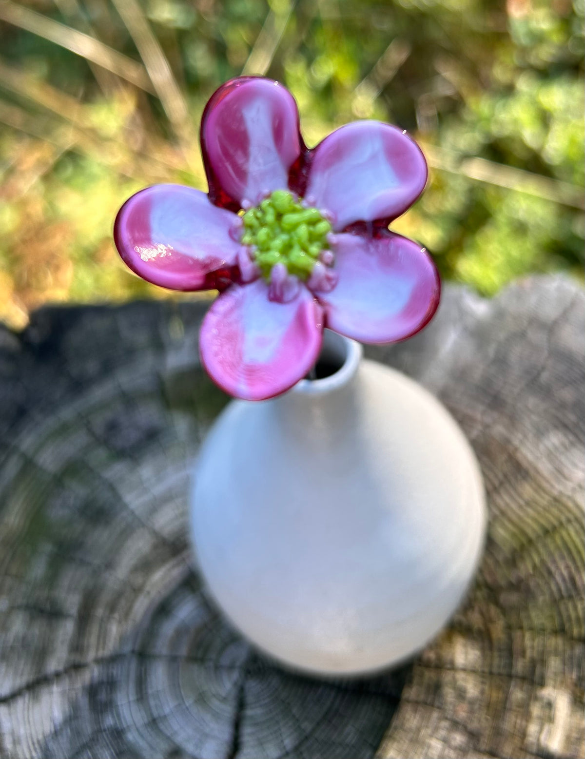 Hawthorn Flower