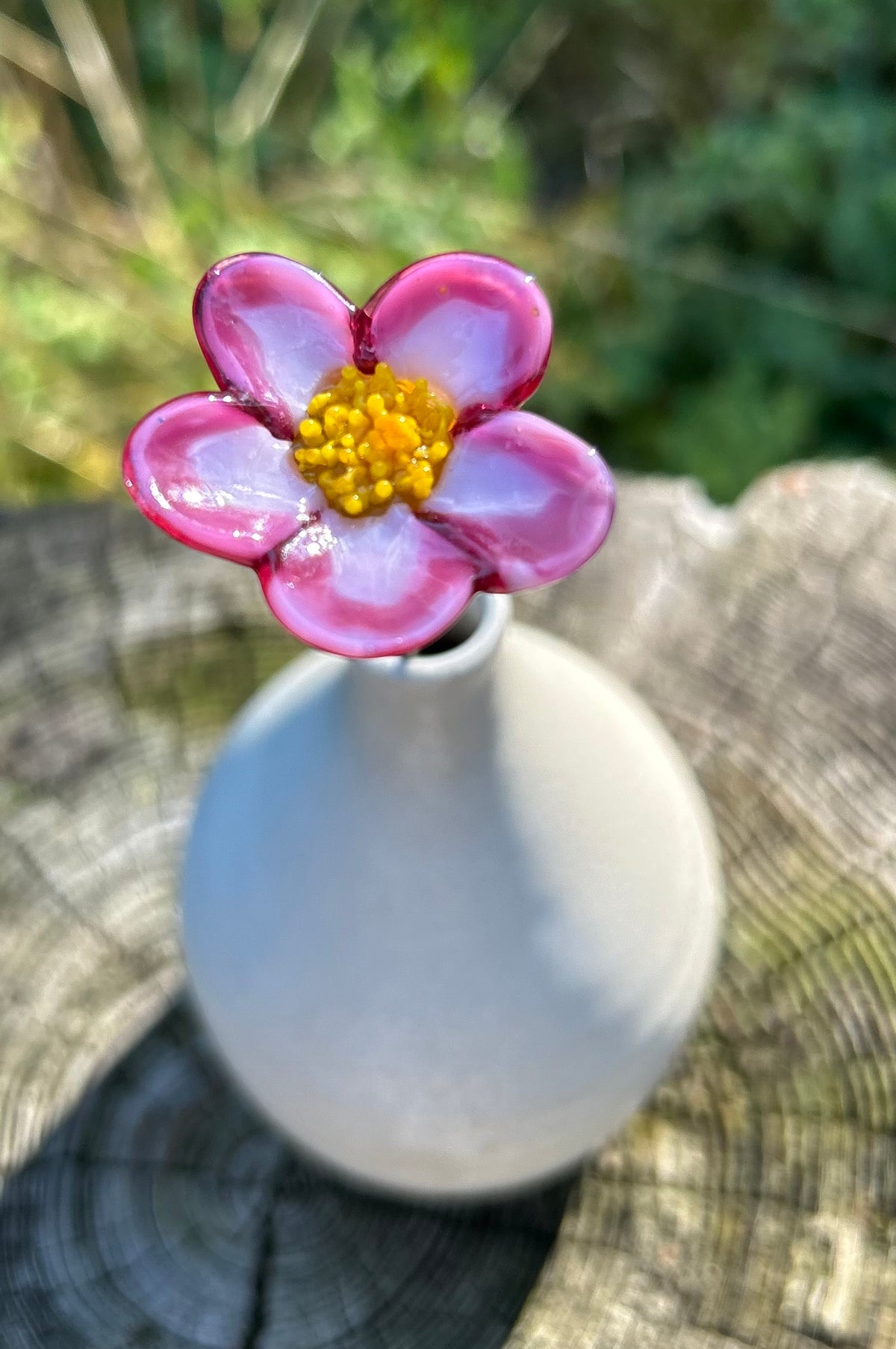Hawthorn Flower