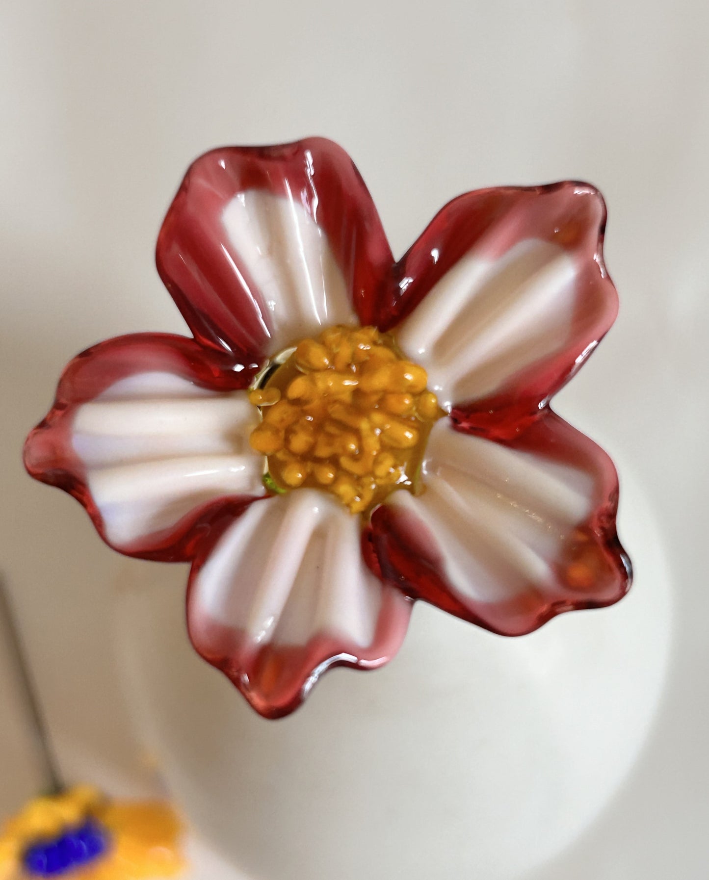 Glass Flowers